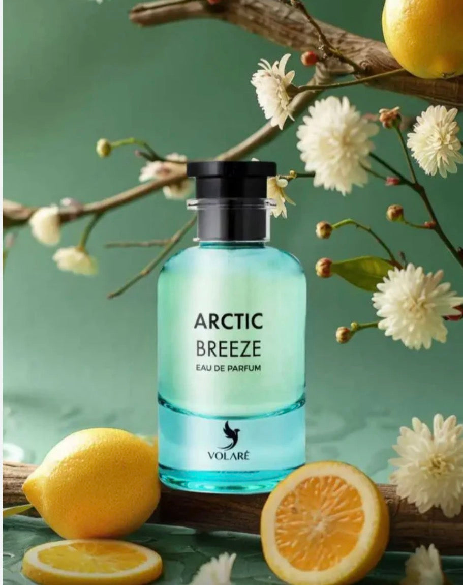 ARCTIC BREEZE | EAU DE PARFUM | 100ML